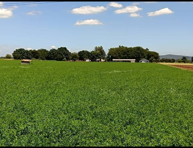 36HA FARM FOR SALE IN BRITS RURAL